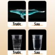 Máy Chân Không Khử Bọt Khí, Máy Phá Bọt Epoxy Resin 6