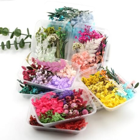 Hoa Khô Tự Nhiên Set Hỗn Hợp Trên 10 Loại Hoa